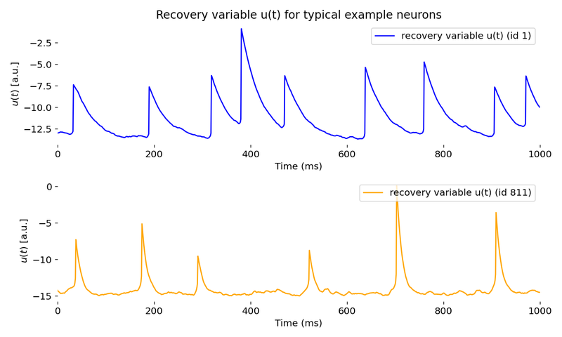 Voltage (two upper panels) and recovery variable traces (two lower panels) of an exemplary excitatory neuron (blue) and an inhibitory neuron (orange) in the network.